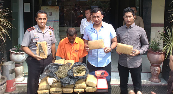 Polsek-Medan-Baru-Amankan-30-Kg-Ganja-Asal-Aceh