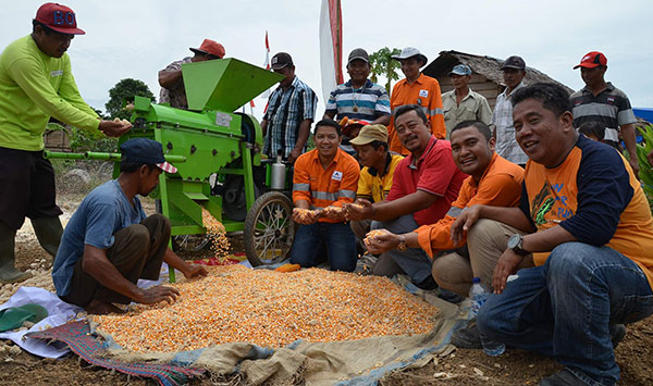tambang-emas-martabe-tingkatkan-hasil-produktivitas-jagung-hingga-300-persen
