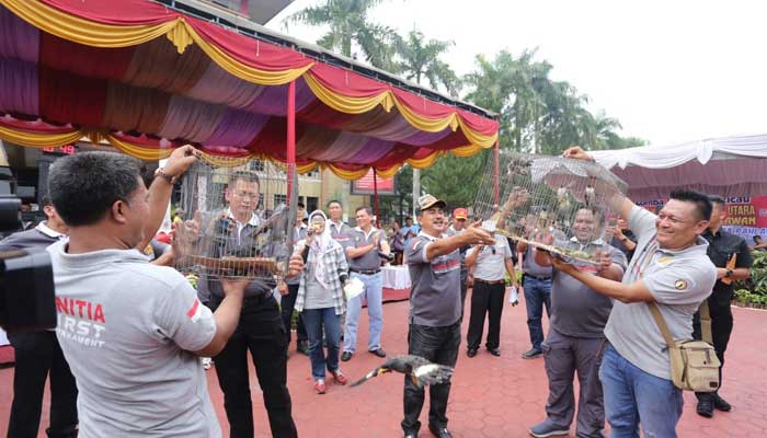 KAPOLDA-SUMUT
