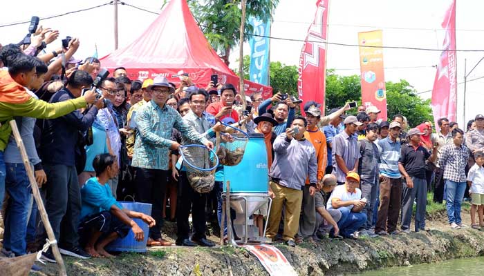 IKAN