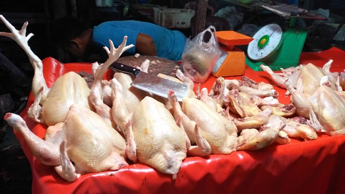 Daging ayam
