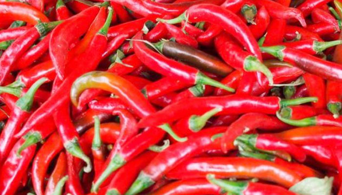cabai-merah