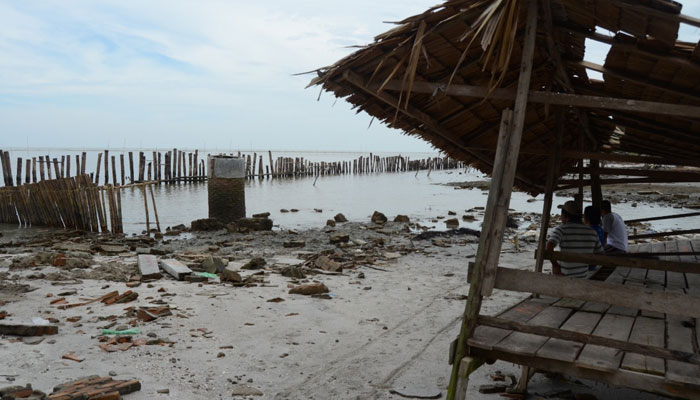 Rusaknya Hutan Mangrove di Sumut, Nelayan Kehilangan Mata Pencaharian