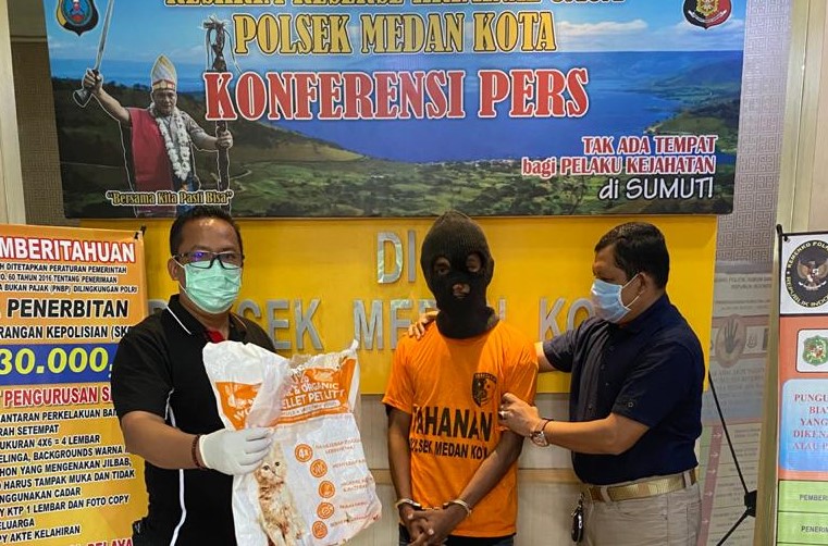 pencurian kucing himalaya