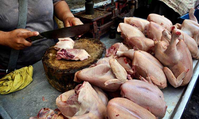 ayam300419-1