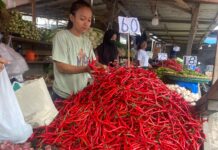 Waspadai Musim Hujan, Ini Dia Komoditas Penyumbang Inflasi