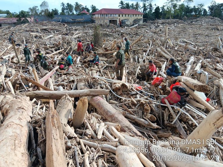 Kayu Banjir Bisa Dimanfaatkan