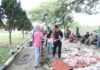 Idul Adha 1447 Hijriah, Polres Sergai Sembelih 19 Hewan Kurban