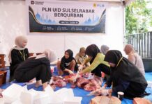 PLN Tebar Semangat Berbagi Iduladha, Salurkan Lebih dari 2.000 Hewan Kurban ke Seluruh Indonesia