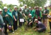 Peringatan Hari Lingkungan Hidup Sedunia, 1.000 Pohon Khas Melayu Ditanam di Bantaran Sungai Deli