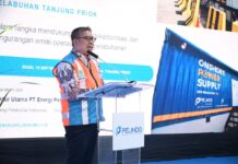 PLN dan Pelindo Perkuat Elektrifikasi Maritim Menuju Green Port