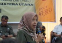 Kepala Balai Besar Konservasi Sumber Daya Alam Sumatera Utara (BBKSDA Sumut), Novita Kusuma Wardani mengatakan, pihaknya mendorong perusahaan jasa pengiriman dan ekspedisi meningkatkan kewaspadaan terhadap peredaran tumbuhan dan satwa liar (TSL), baik yang dilakukan secara legal maupun ilegal.